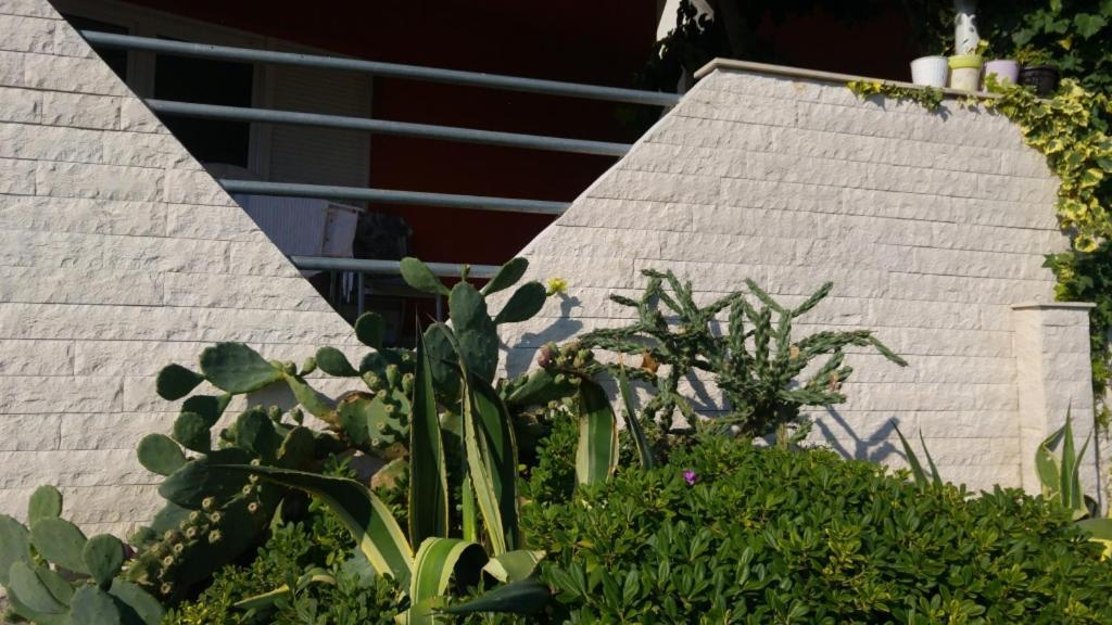 In With Seaview, Terrace, Air Condition, Wifi Kali